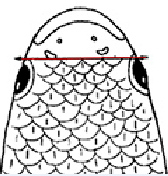 Liza aurata_claves_01